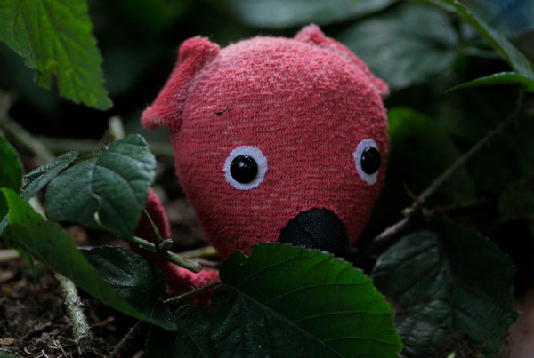 A still from Kooky, used as the grid image for the project.
